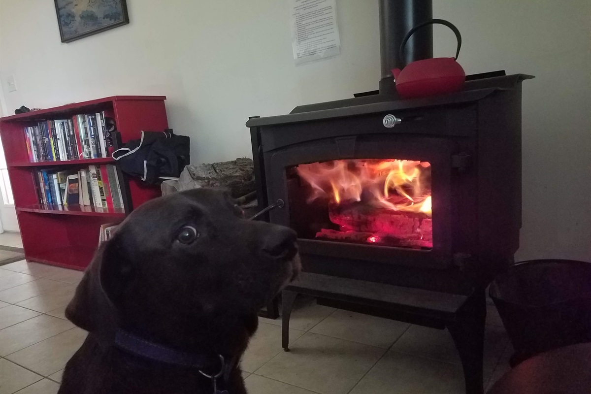 Puppies like to sit by the fire too!