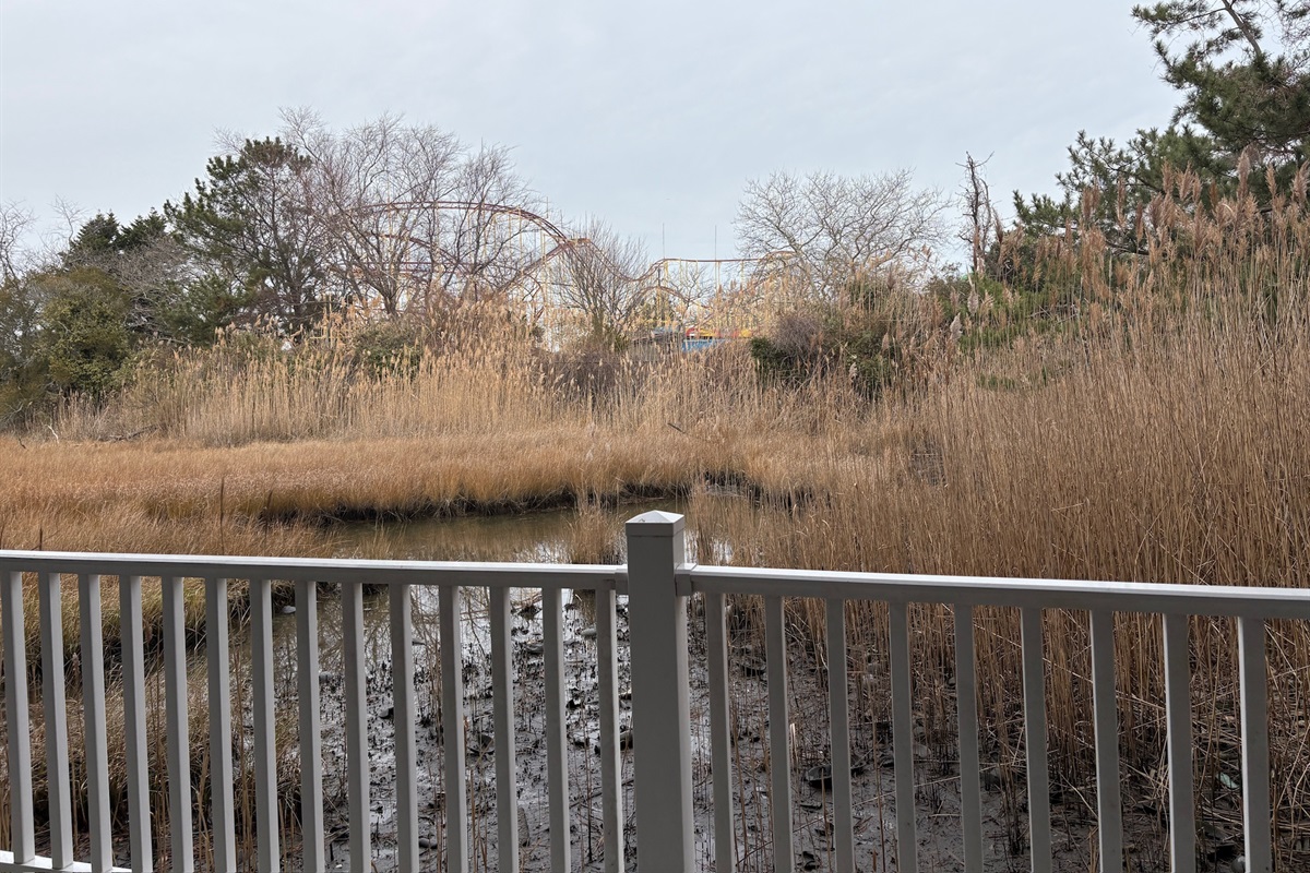 view of water and the amusement park
