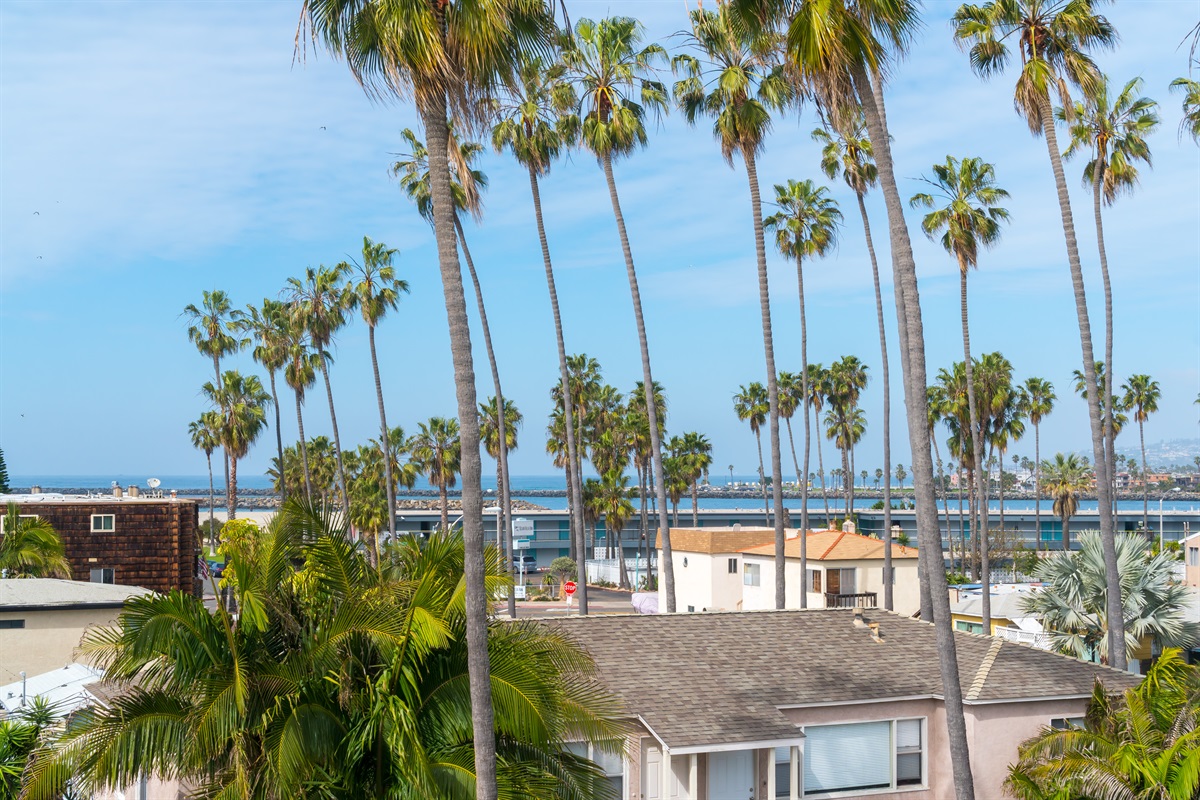 Rooftop View