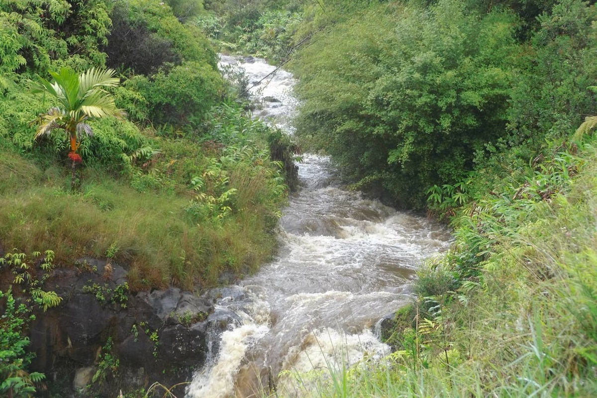 Kikala Stream in full force after a heavy storm.