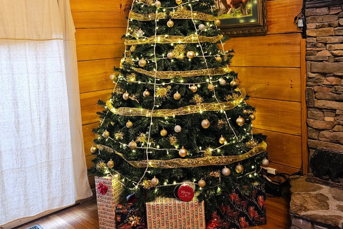 Cozy holiday vibes with our beautifully decorated Christmas tree