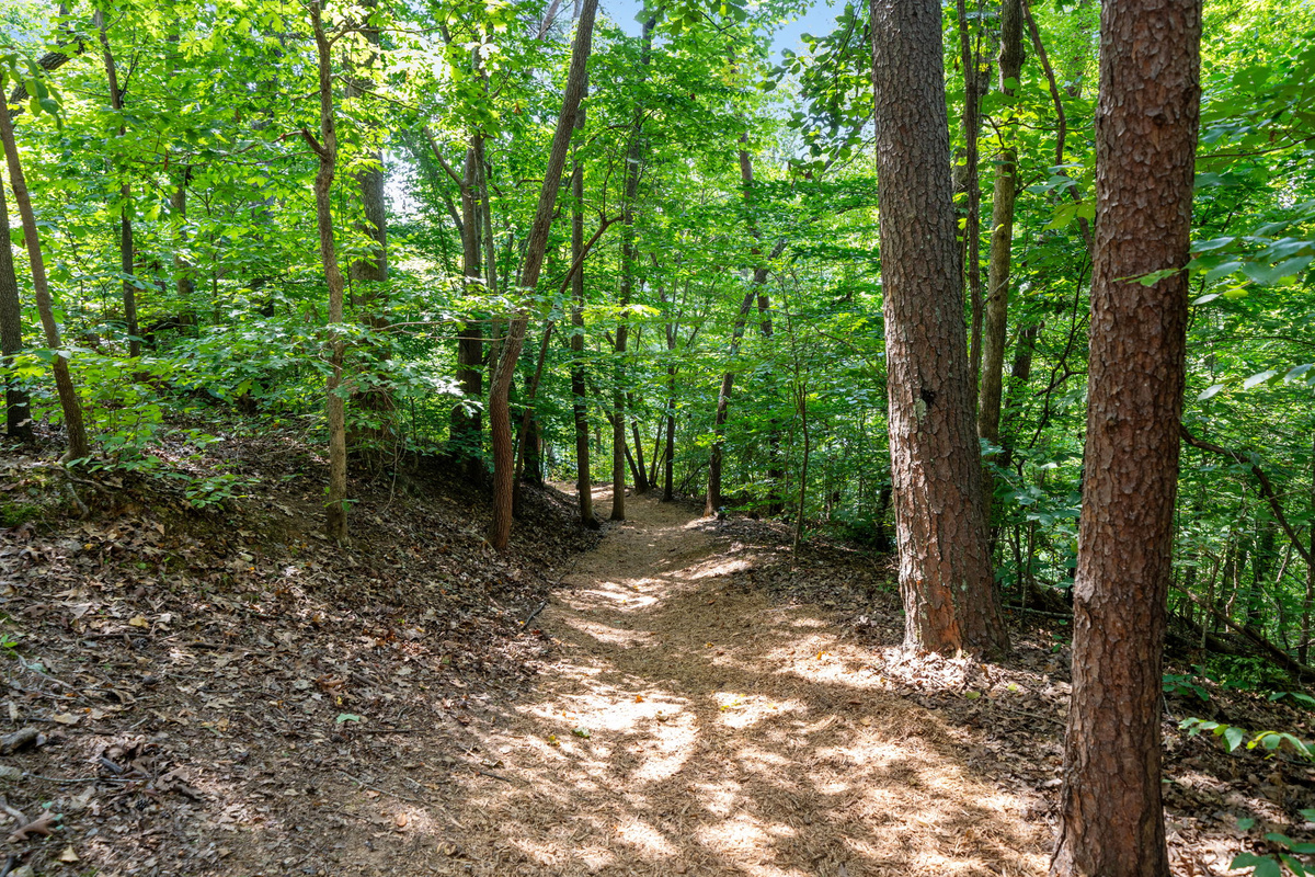 Path to the Lakw