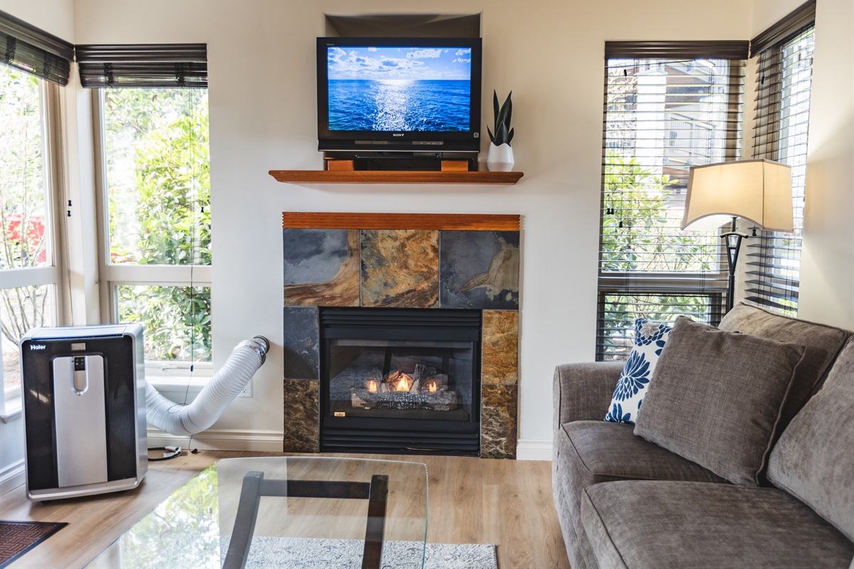 Main Floor. Streaming TV. Double glass doors. AC unit / natural gas fireplace. Covered Patio. Open concept. Roomy and spacious. Queen pull out sofa for extra Guests.