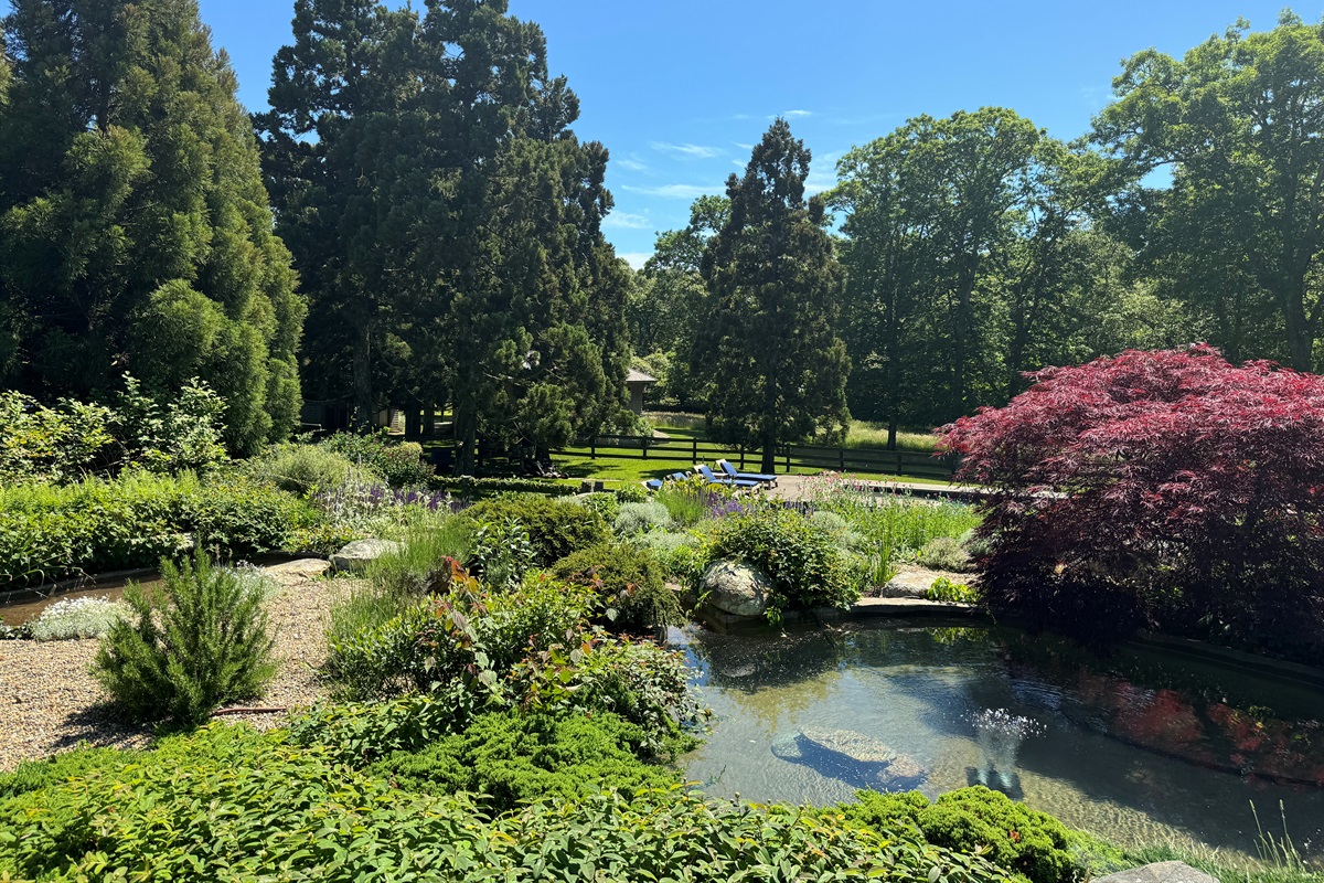 View of the grounds