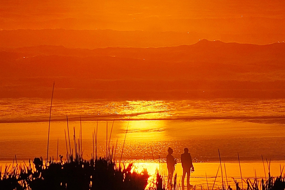 Brandy R., Sep 13, 2025