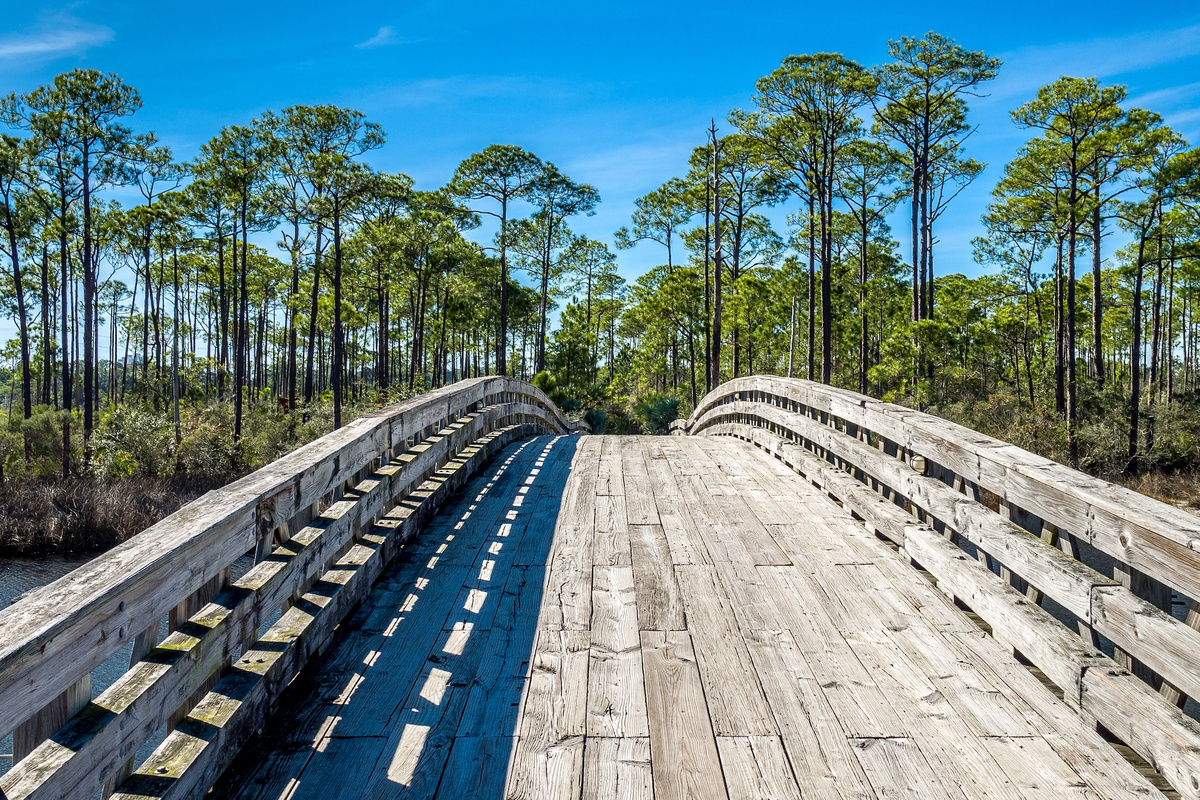 Walking Trails