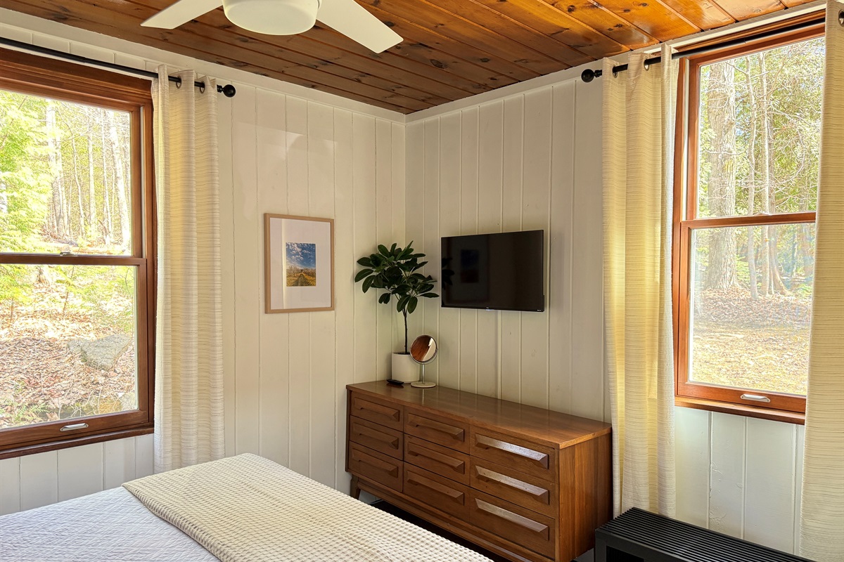 Television in Primary Bedroom