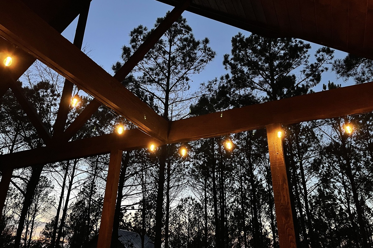 Towering pines from the back porch of First Kiss!