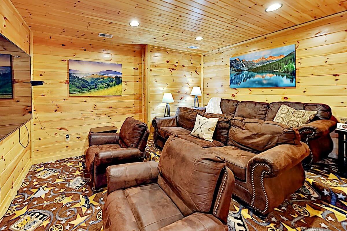 Private movie theater room with smart TV and DVD player.