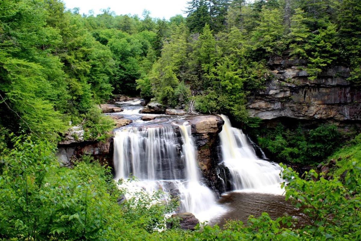 Blackwater Falls State Park - 5 minute drive from town.