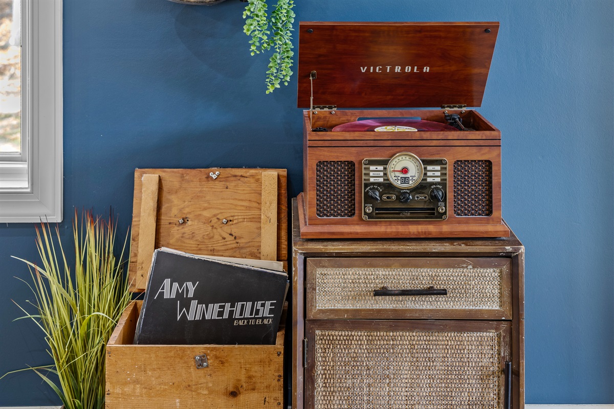 Back living room - spin your favorite vinyls.