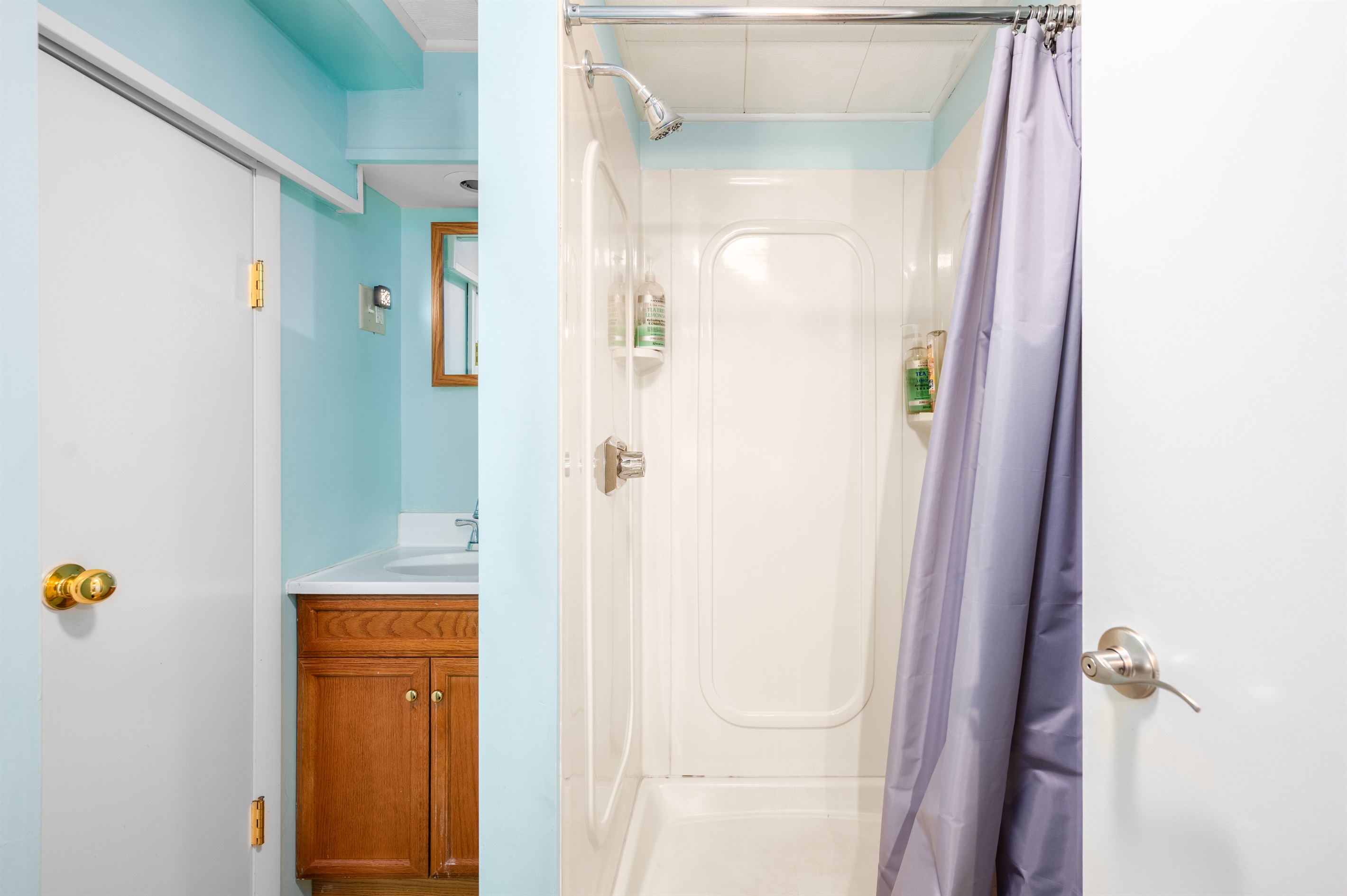 Lower level bathroom