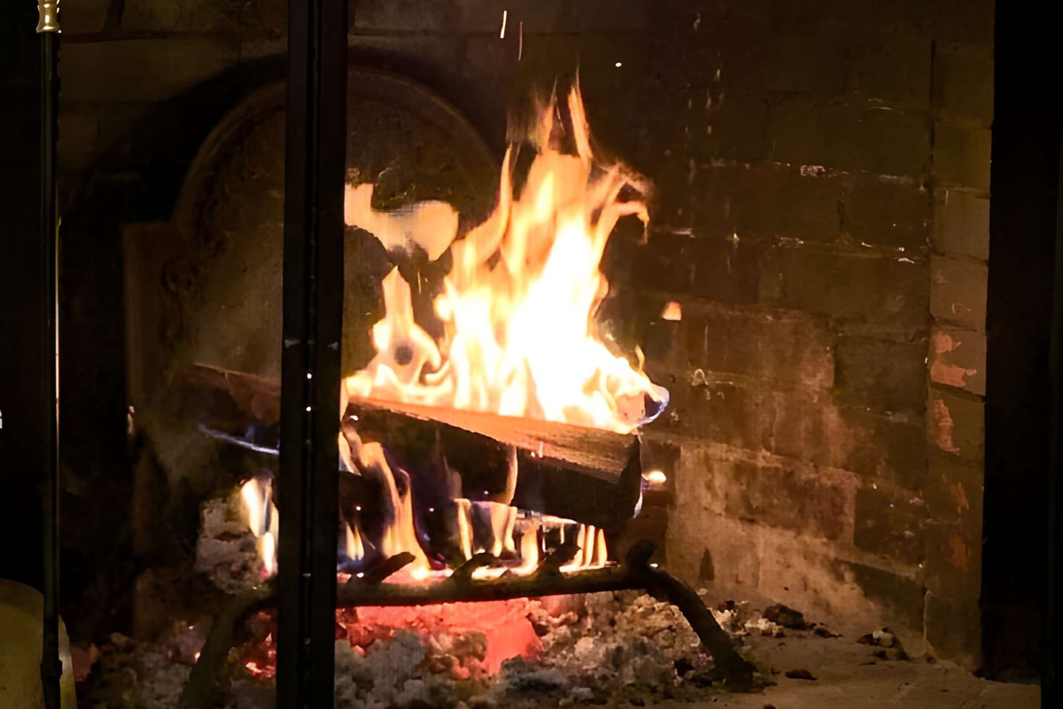 Fireplace in the living room 