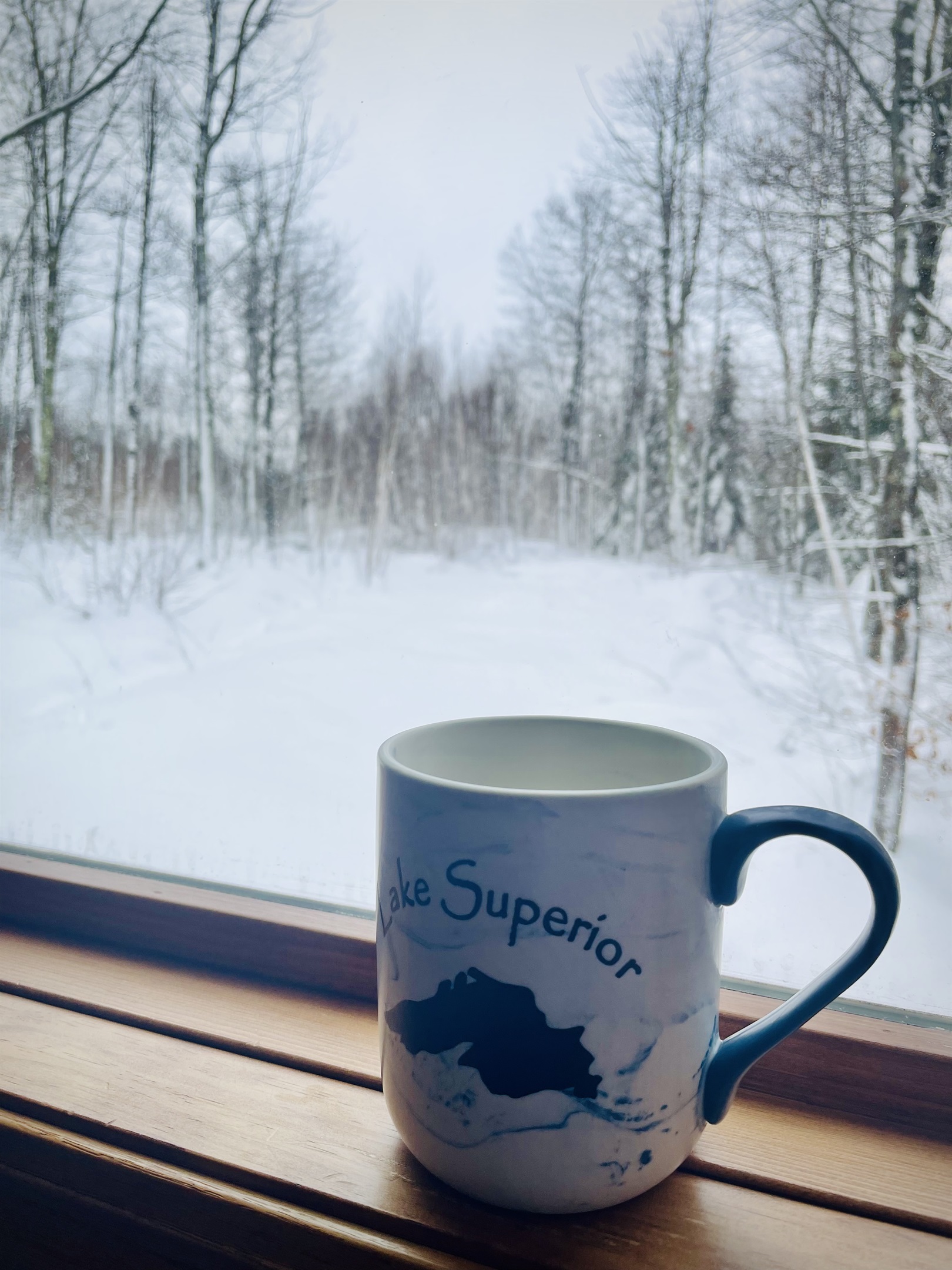 Large 3 window view out the upstairs living room of the woods -  winter scene 
