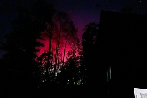 From the Deck