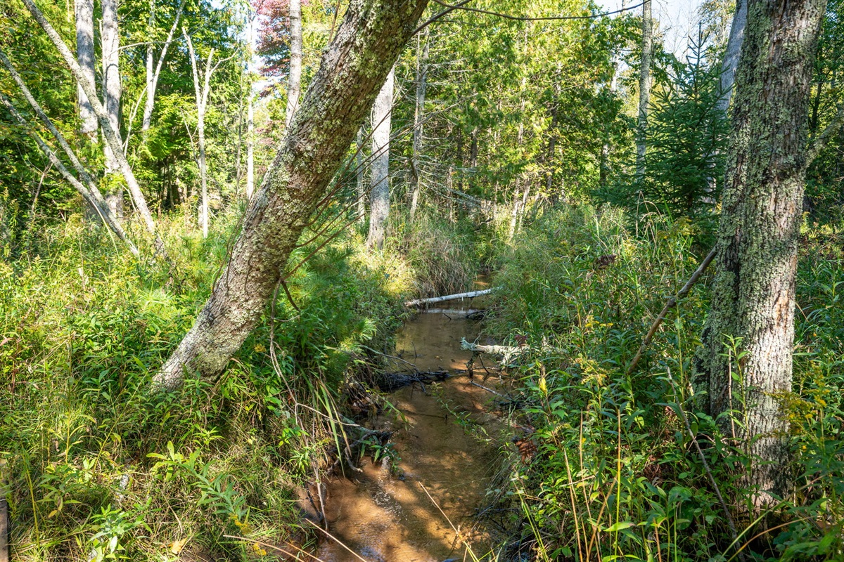 Lovely Creek Running Through Property