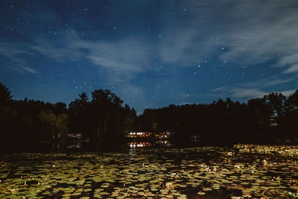 View of the lake at night