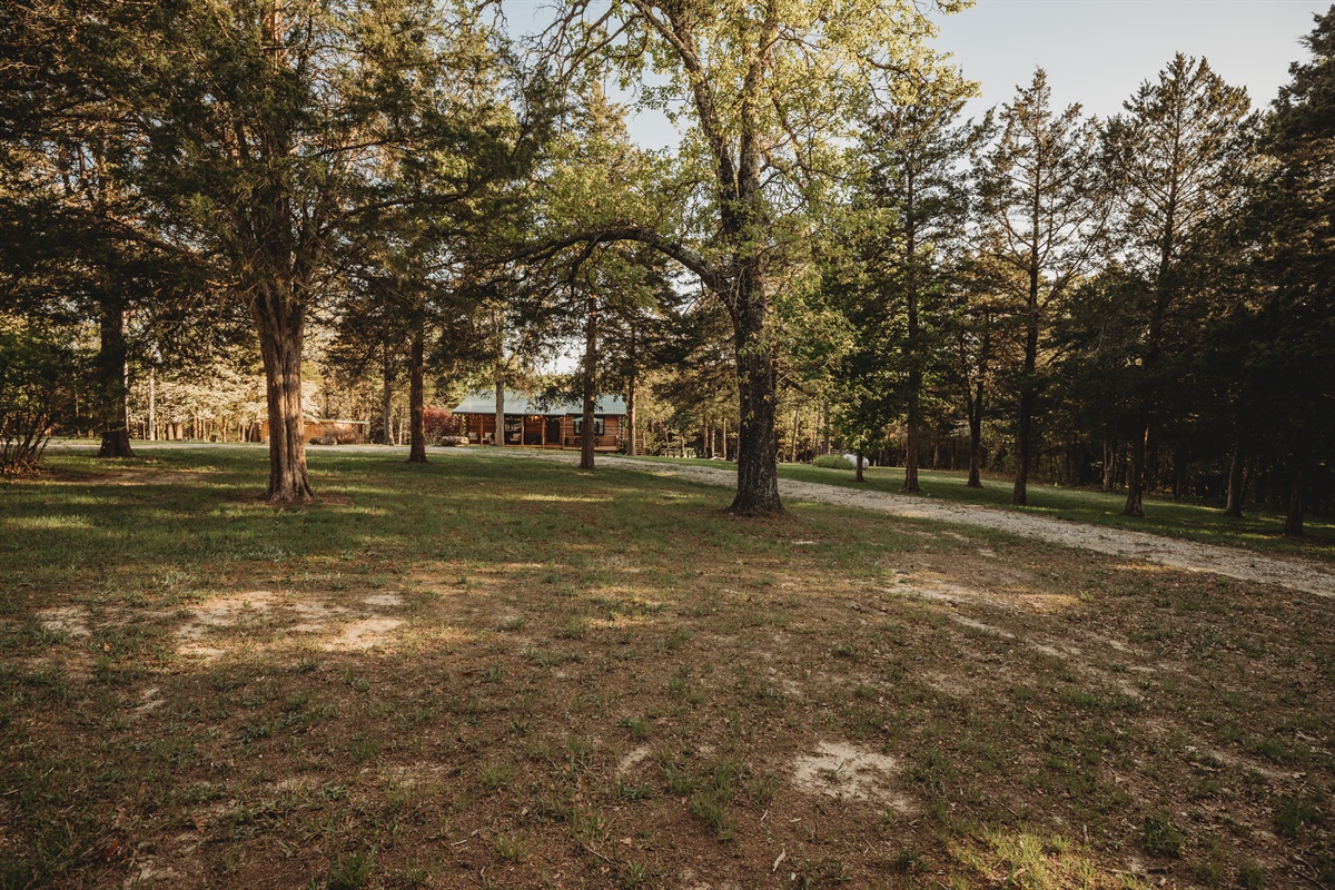 Privacy & Seclusion await you at Cedar Grove Cabin