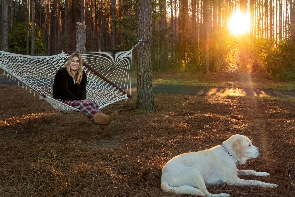 Hammock at sunset