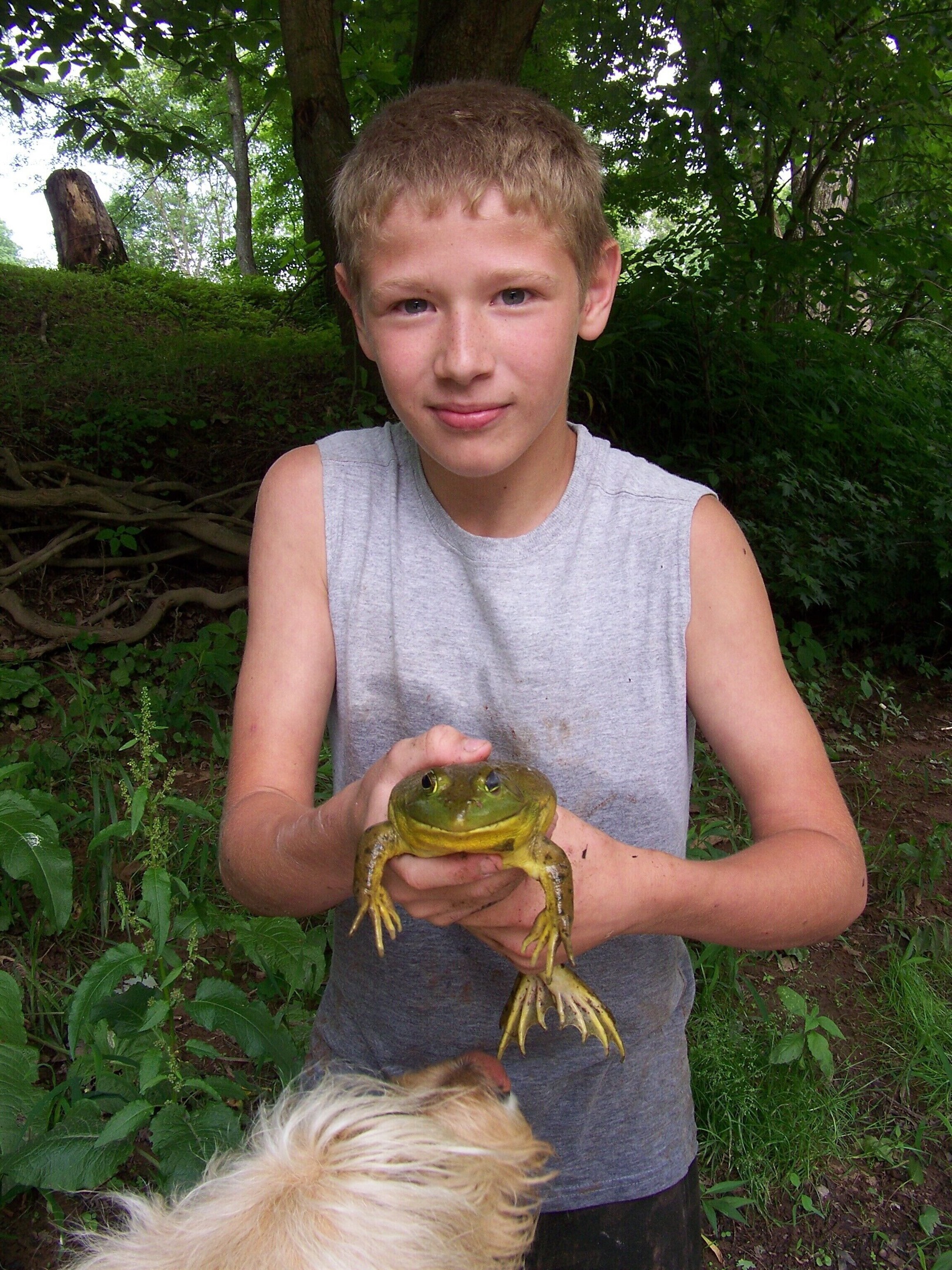 huge frog caught on riverbank in front of our house.