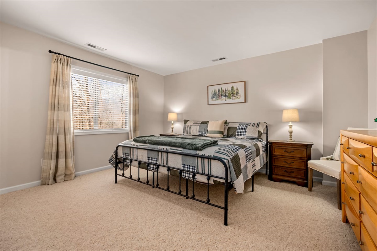 Bedroom #4 on lower level of the home