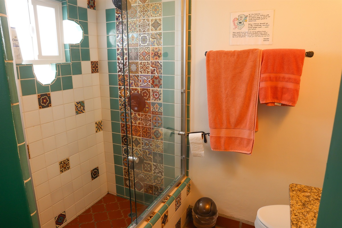 Upstairs Master Bathroom