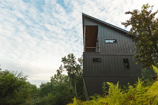 View up from the national forest boundary