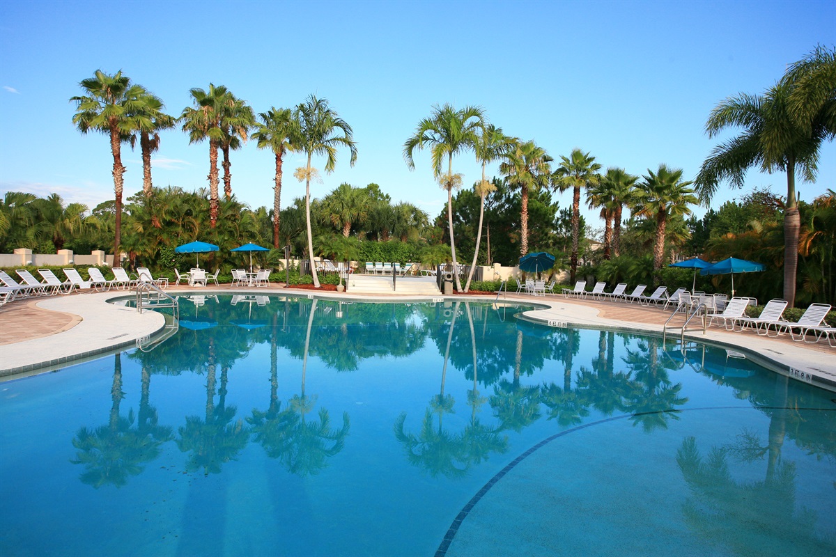 Resort-style community pool surrounded by tropical landscaping, lounge chairs, and palm trees.
