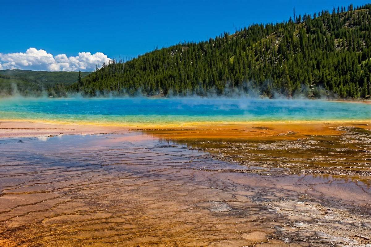Nature’s color palette. See Grand Prismatic Spring in person.