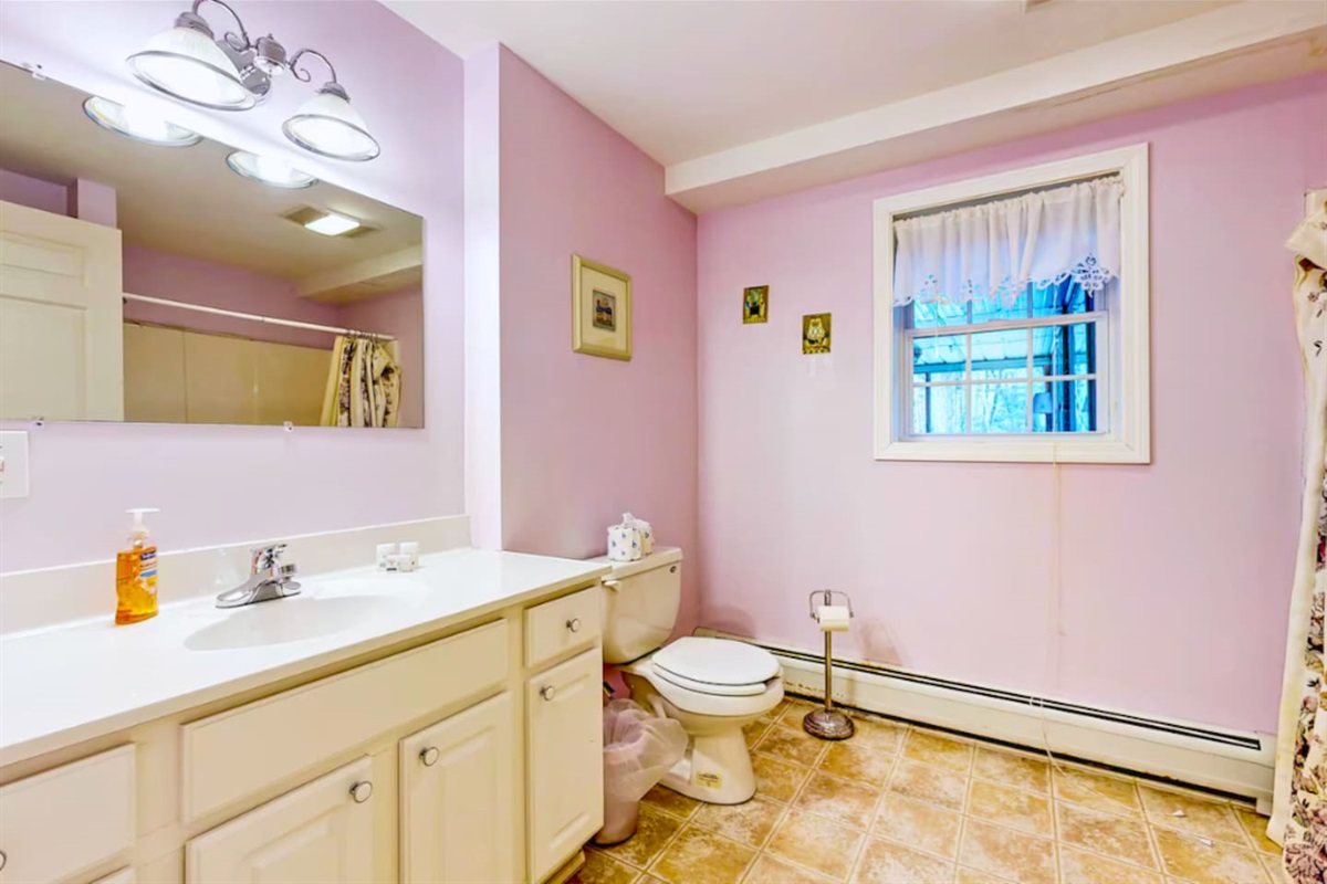 Full bathroom with shower in the basement right off the pool room.
