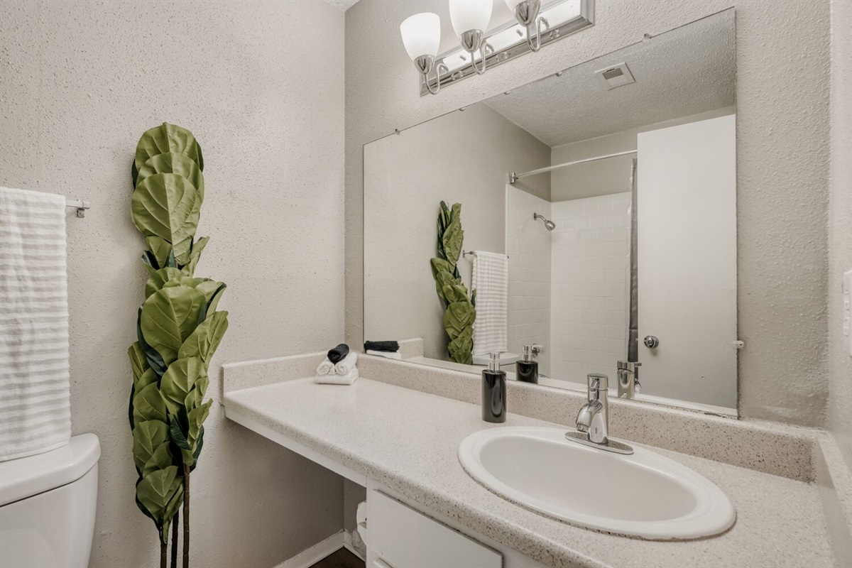 Modern bathroom with a spacious vanity.