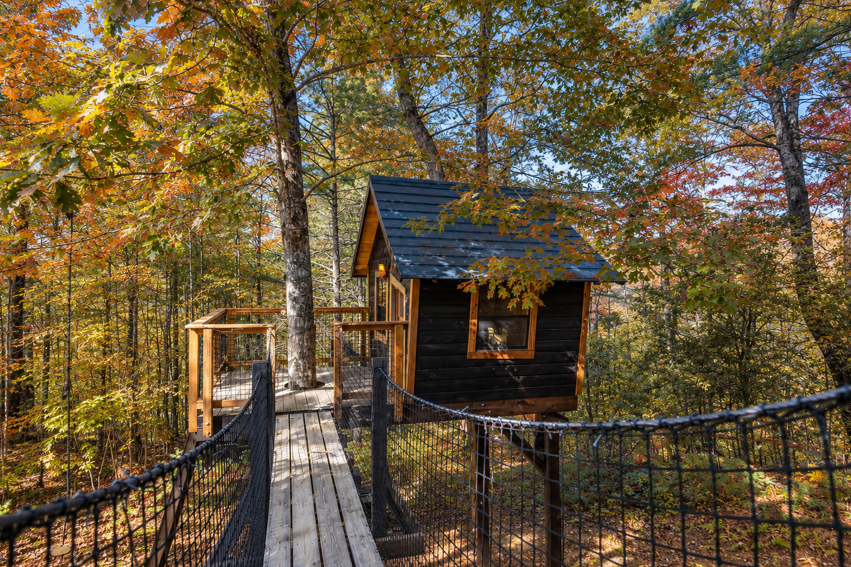 Cross into adventure, treehouse magic awaits.