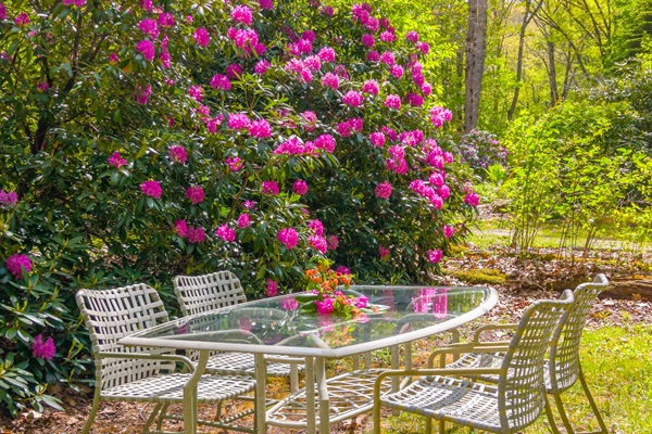 Outdoors is Where We Love to Spend All Our Time