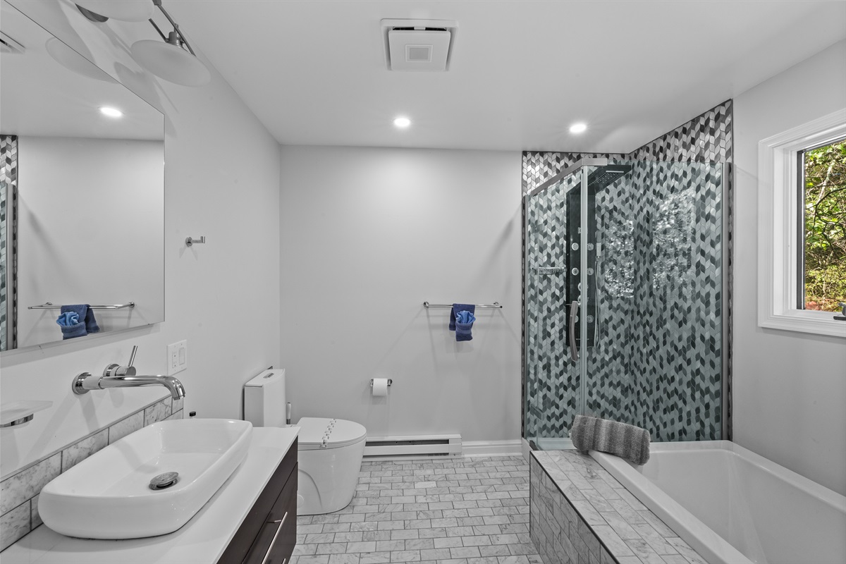 Spacious full bathroom featuring both a walk-in shower and soaking tub