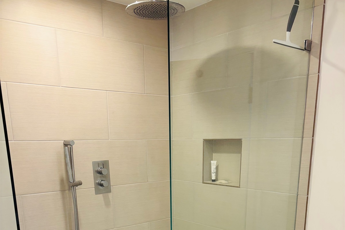 Downstairs queen shower