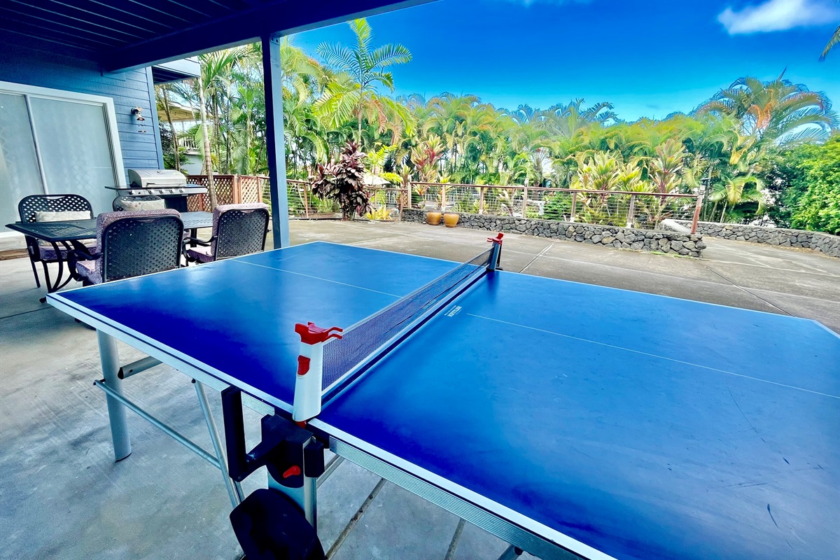 Ping pong table