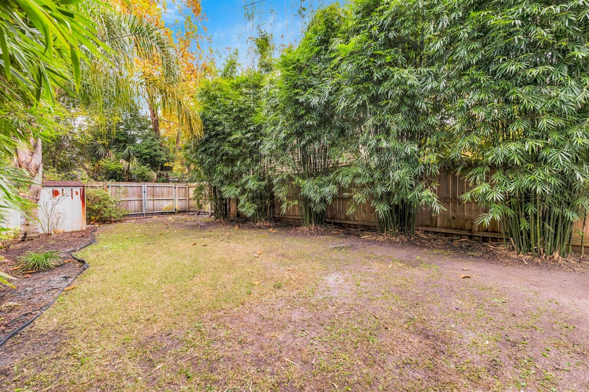 Backyard
