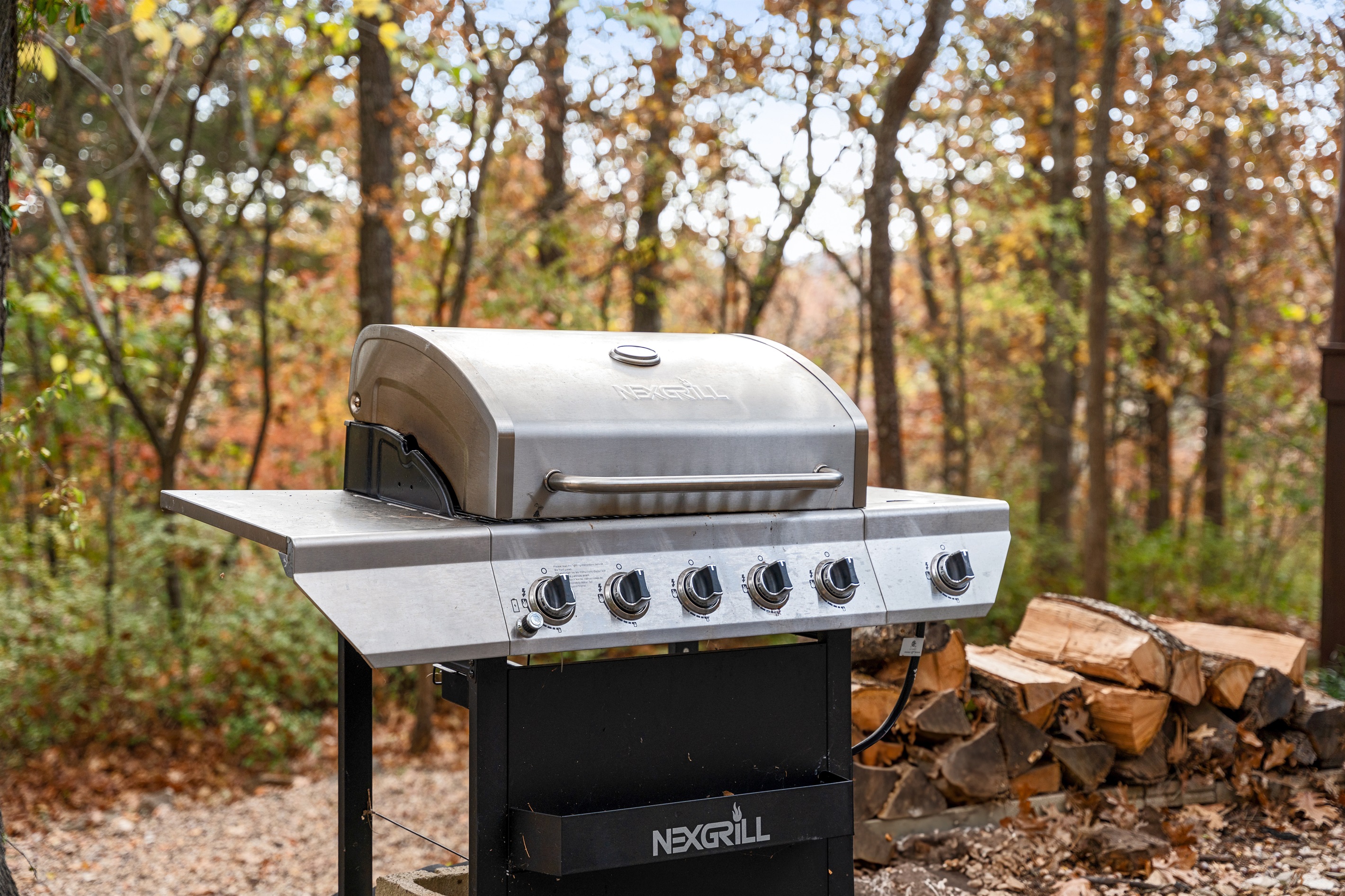 Romantic dinner awaits—grill up something special together