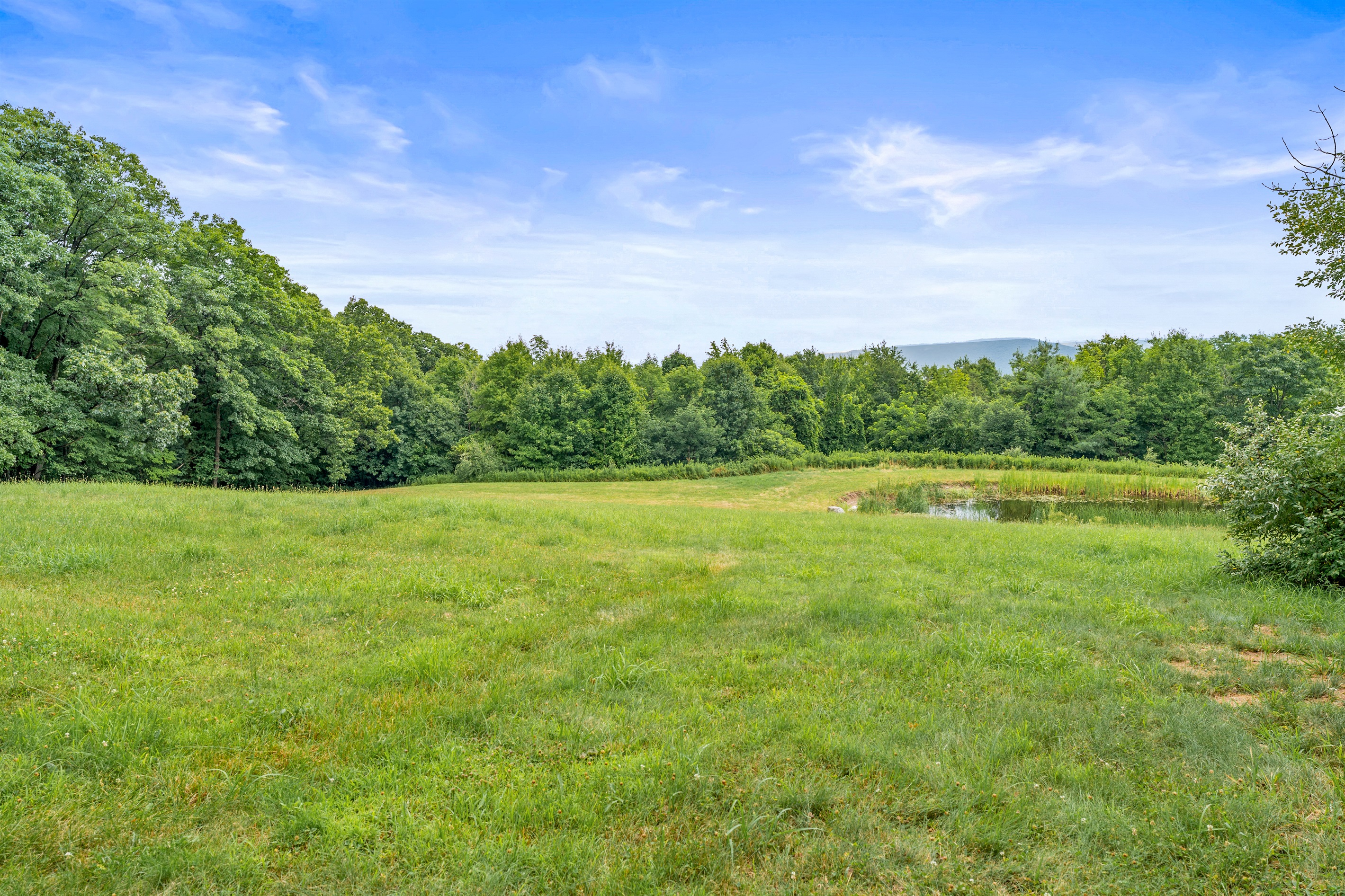 Peaceful and private, this expansive yard features a picturesque pond and sweeping meadow views