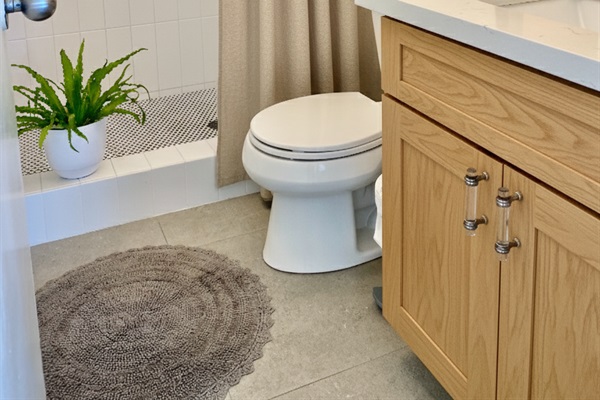 Guest House Bathroom | Decor & Finishes subject to change