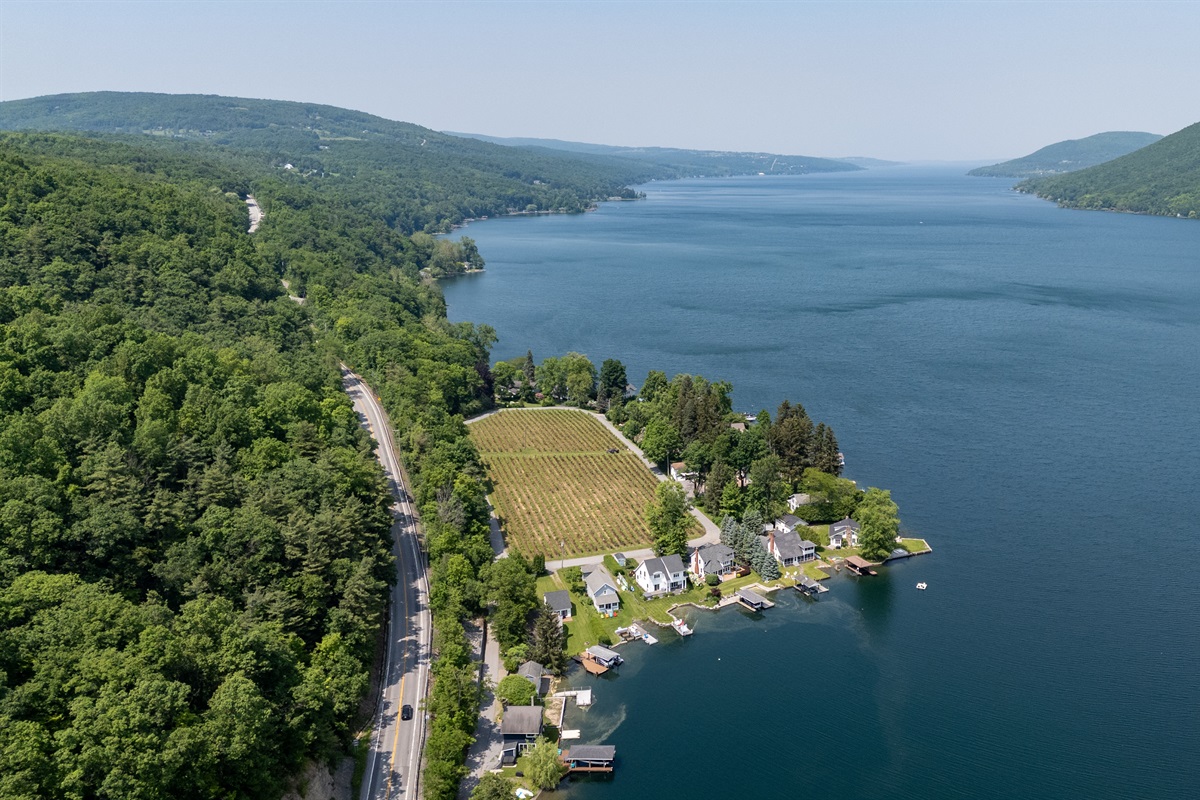 A stunning aerial view of lakeside living meets vineyard charm—private docks, waterfront homes, and lush grape rows create the perfect Finger Lakes retreat.