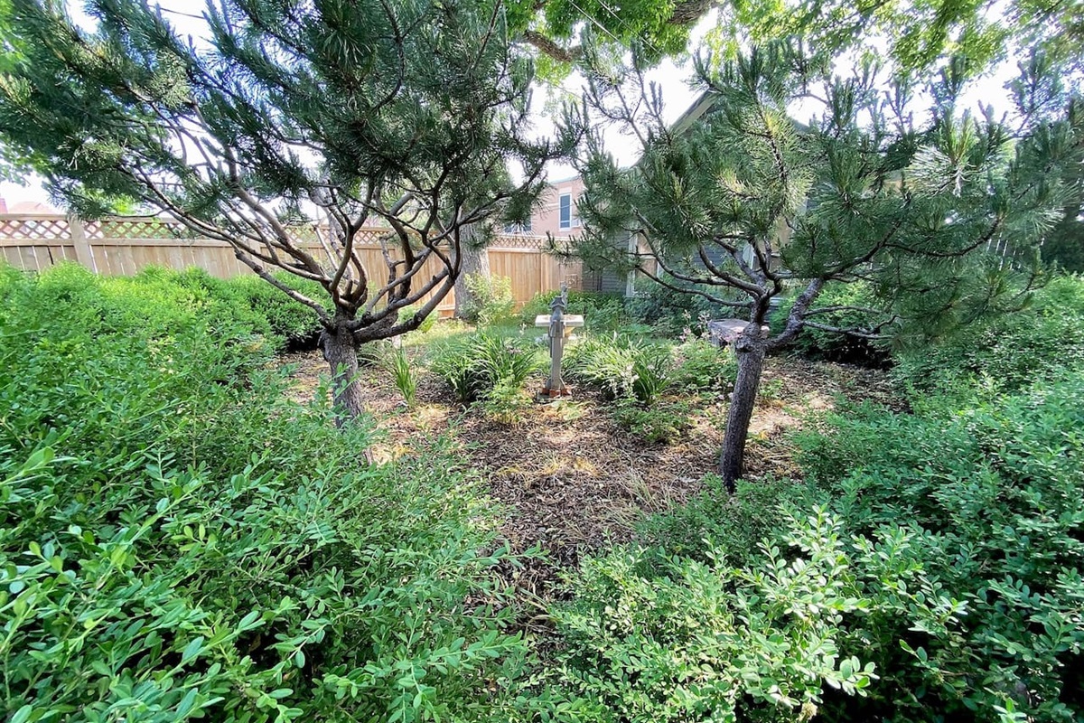 Backyard gardens