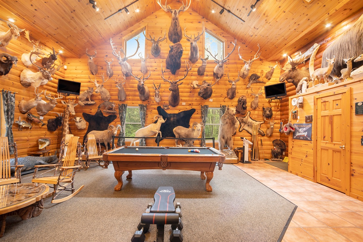 Added living room with bar area and pool table!