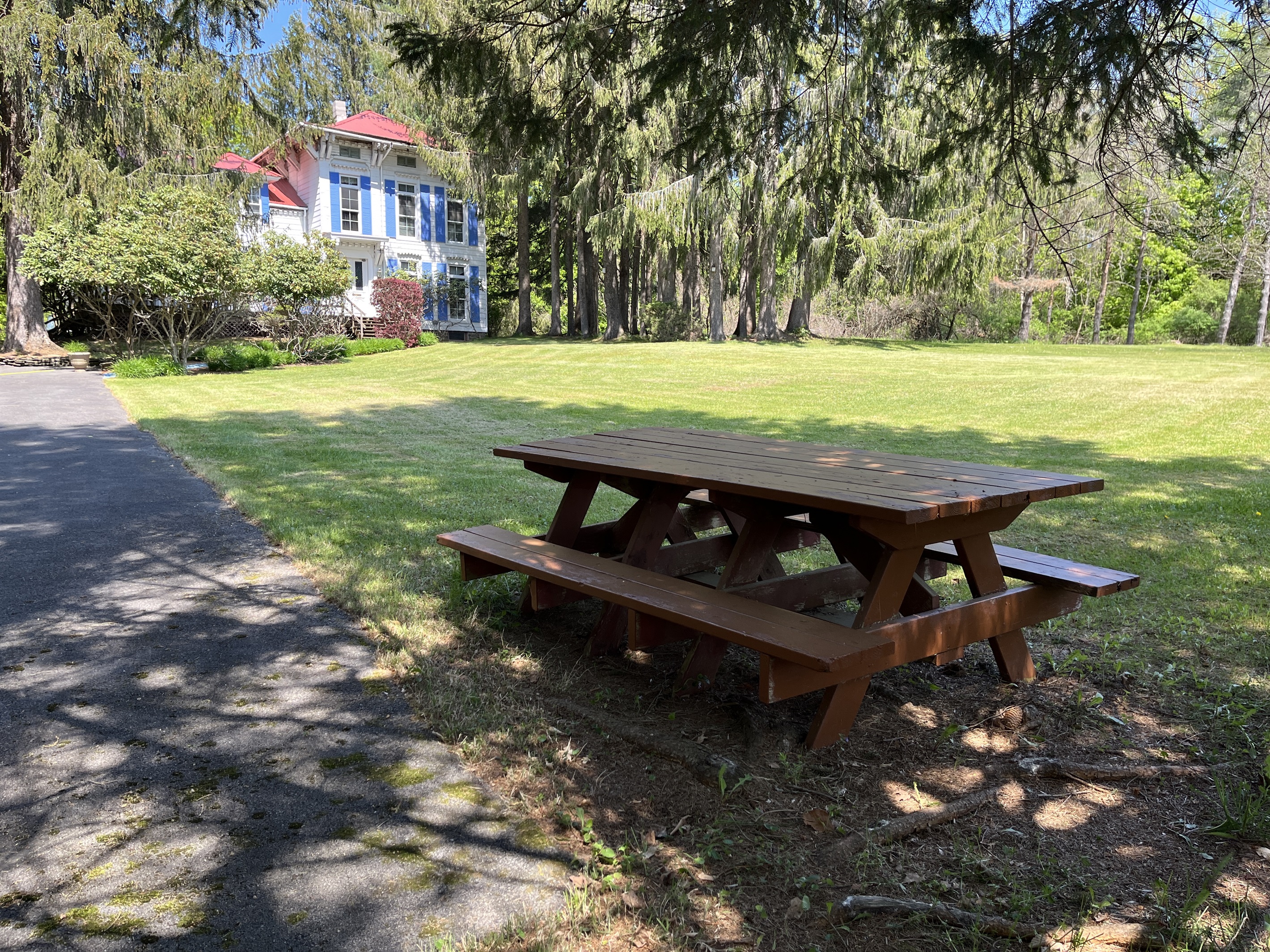 Shady picnic area adjacent tot he parking area.