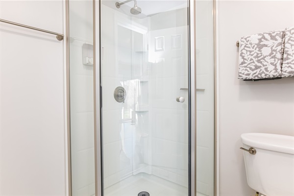 Master Bathroom Shower