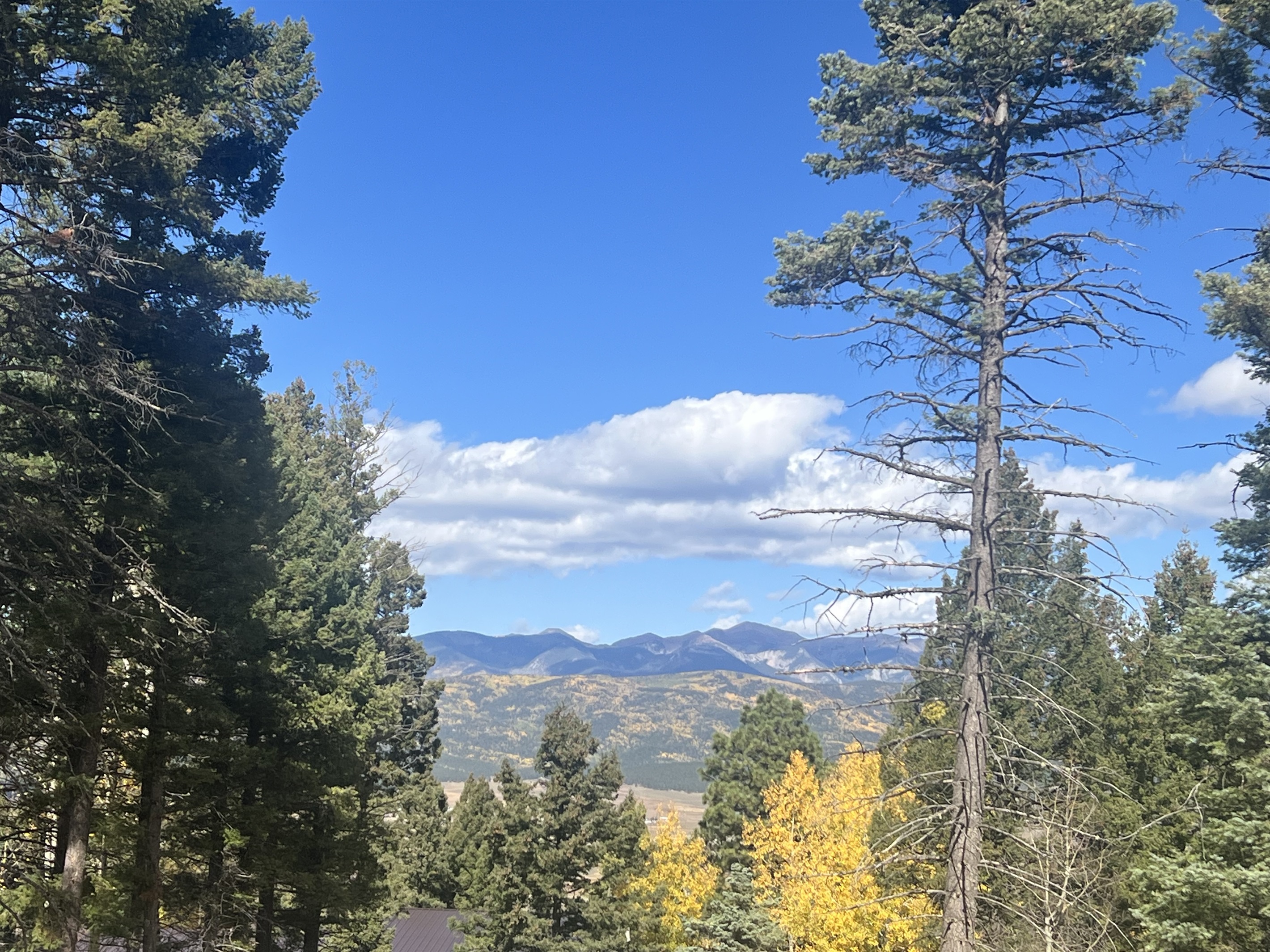 Lindsey Vacation Rentals