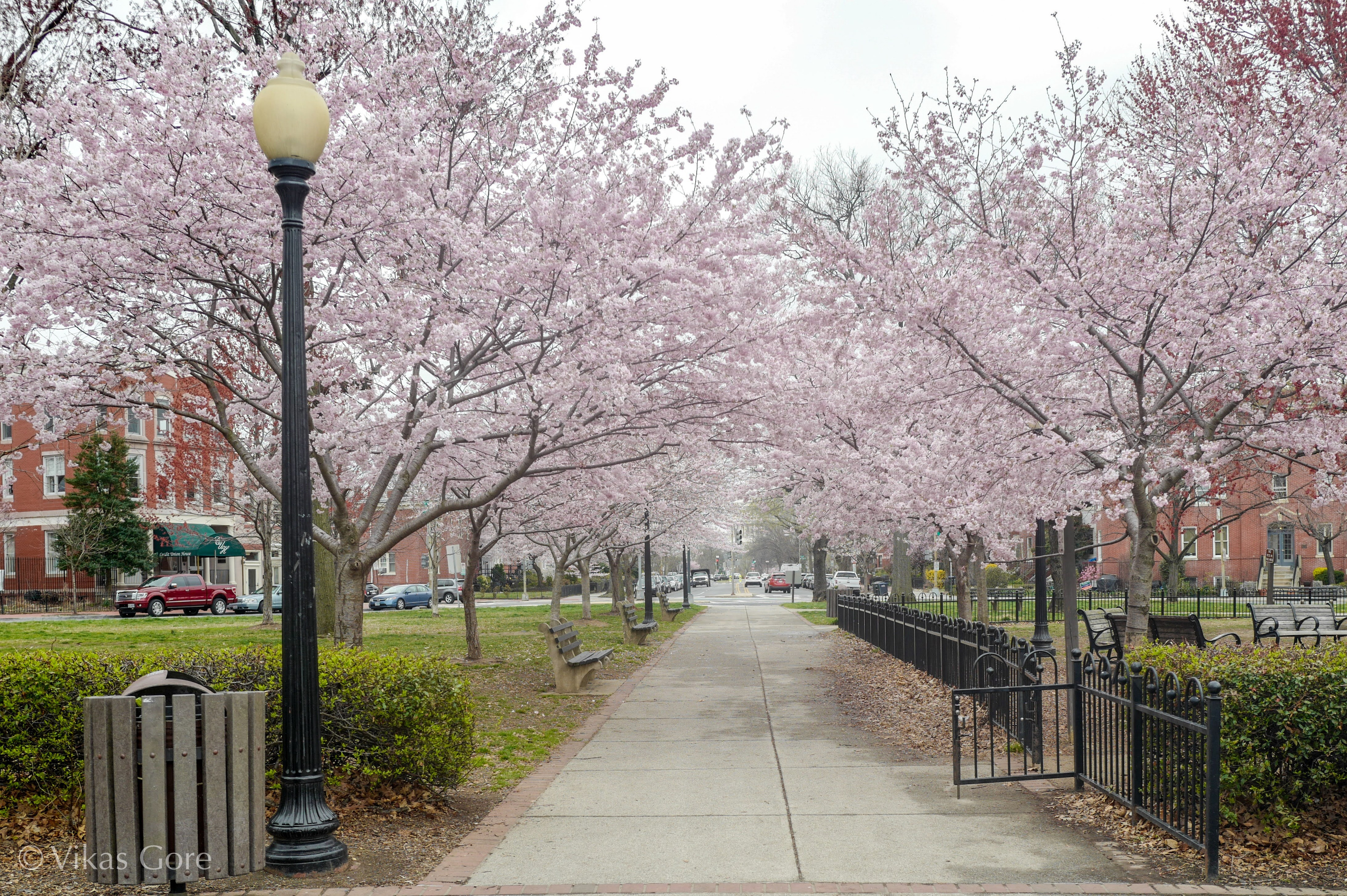 Just one block away, Stanton Park offers cherry blossoms, open green space, and a gated playground—perfect for families or a peaceful stroll.