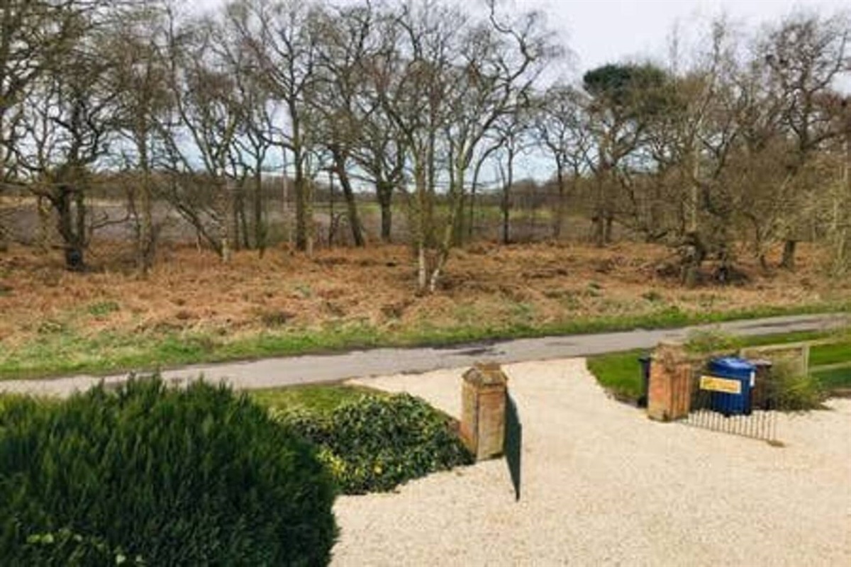 View from the house