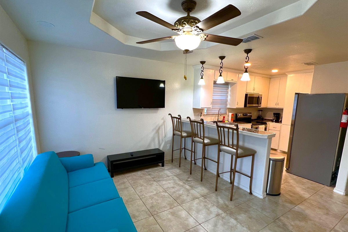 Spacious Living/Kitchen Area