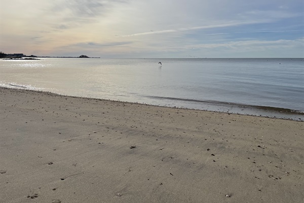 Lee Manor Beach